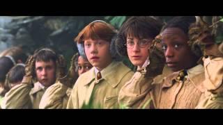 Harry Potter 2 - Les Mandragores (Scène Culte)