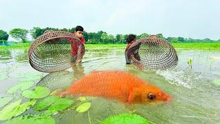 Unbelievable Polo Fishing || Traditional Catch Fish With Bamboo Tools Polo From The Village Bill