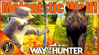 NEW Bear Archery Pack + Recurve Melanistic Wolf! | Way of the Hunter!