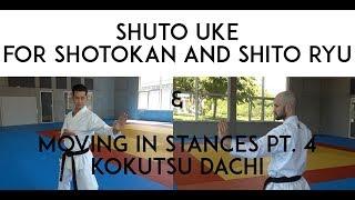 SHUTO UKE for SHOTOKAN and SHITO RYU - moving in stances 4 KOKUTSU Dachi - TEAM KI