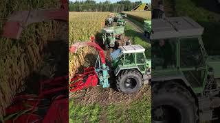 Maishäckseln mit Traktor Fendt Favorit 614 LSA & Feldhäcksler - Großevent mit 50 Traktoren - Teil1