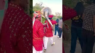 #159# PB07#Atwal Band Hoshiarpur +917696860626+919988405190+918360180139