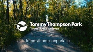 Tommy Thompson Park - Toronto's Urban Wilderness