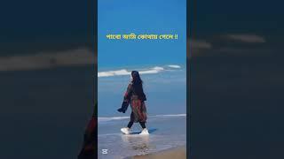 পা‌বো আমি তোমায় কোথায় গে‌লে#viralvideo#capcut#funny#foryou#comedy#shorts#love#song#short#edit#dj