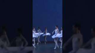 Mariinsky corps de ballet in the final part of ballet Etudes, with olesyanovikova as Prima Ballerina