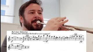 Trumpet Excerpt - ALPINE SYMPHONY - Tassio Furtado Trumpet