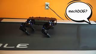 Meet mechDOG, Lynxmotion's Robot Dog by RobotShop.com