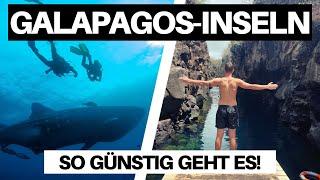 ALLE KOSTEN für 3 Wochen GALAPAGOS-INSELN (SUPER GÜNSTIG!)