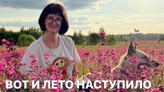 С первым днём лета!!! Природа шикарная, гуляем с собакой, полный Релакс.