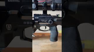 FX Airguns King with Saber Tactical Chassis Punching Bullseyes 