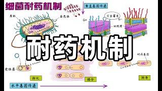 ＃医学手绘| 细菌耐药机制 Medical hand drawing | Bacterial resistance mechanism