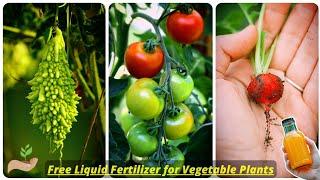 Making the FREE Liquid Fertilizer for Vegetable Plants! - Pure Greeny.