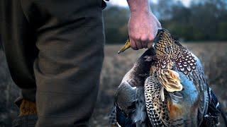 The Last Minute Pheasant Shoot!