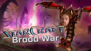 StarCraft: Brood War. Зерги. 7 ноябрь 2024