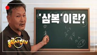 삼복이란