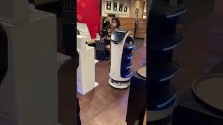 ガスト猫型ロボット　出合頭