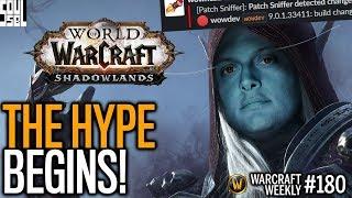 WoW Shadowlands ALPHA Early As Next Week! LET THE HYPE BEGIN! Warcraft Weekly