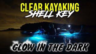 GLOW-IN-THE-DARK Clear Kayak Tours at Shell Key - Get Up And Go Kayaking Tampa Bay