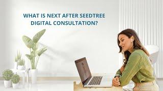 What is next after Seedtree Digital Consultation?