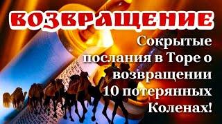 Возвращение 10 Колен Дома Израиля