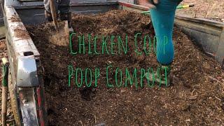 Cleaning and Renovating the Chicken Coop