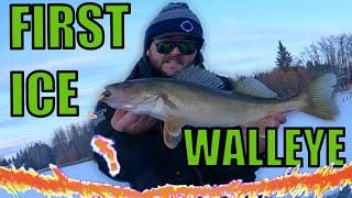 Early Ice Fishing for Walleye | ICE SEASON IS HERE!!