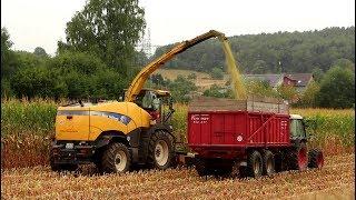 Kasparhof | Mais häckseln mit New Holland FR 9050 für Milchbauer | Aschaffenburg Schweinheim -Alex E