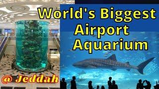 World's Biggest Airport Aquarium @ Jeddah, Saudi Arabia [Jeddah New Airport] 2021