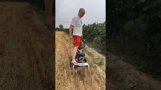 Amazing Farming Machine in Action  | JUST KD Agriculture | Part 128