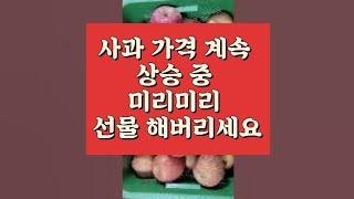 부사 선물용사과 사과가격 계속 상승 중 미리 선물해버리세요. 명절 밑에가면 엄청 오릅니다. 010 5040 30820 문자주세요 가격표 보내드립니다.