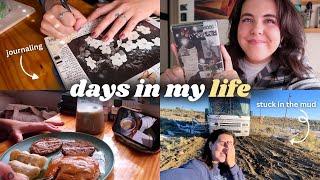 days in my life  *full-time indie author, chaos vlog, reading & journaling*