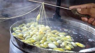 How Farmers Produce Tons of Silk from Silkworms Every Year