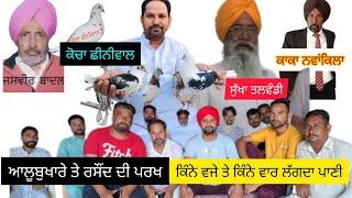 Ik Shonk Kabootarbaazi Da Full Interview ਸੁਪਰ ਸਟਾਰ ਕਬੂਤਰਬਾਜ ਕੋਚਾ ਛੀਨੀਵਾਲ #kabootar #barnala