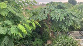 Springy Steve’s Garden from above. Aerial photographs taken recently.