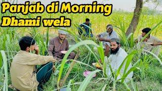 Sade Pind Hui Rat chori || Zaibi hanjra || #zaibihanjra  #punjabi