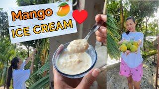 Mango Ice Cream - Home Made  |  Chitralekha Doley