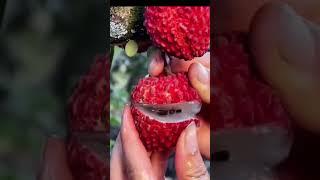 OMG #fruit_world Farm fresh ninja fruit | Best Oddly satisfying fruit cutting and relaxing | #fruit