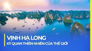 VỊNH HẠ LONG: KỲ QUAN THIÊN NHIÊN CỦA THẾ GIỚI