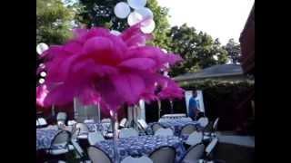 Hot Pink & Damask Martini Splash Ostrich Centerpiece Rentals by Sweet 16 Candelabras.avi