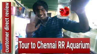 Tour to Chennai RR Aquarium | Betta fish collection * customer direct review | Chennai RR Aquarium