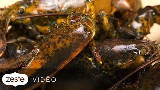 Comment différencier un homard mâle d'une femelle | Zeste