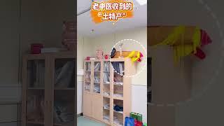 我收到的“土特产”....中医 我的门诊故事 中医科普 失眠 门诊故事