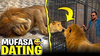 Mufasa ko Diana say sharam a gai pura actor ha qasam say 