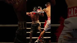 Unleash the Boxing Titans: Witness the Triumph of Toro Promotions Champions #boxing #boxers #boxer