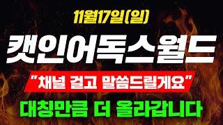 [긴급속보] 11월17일(일) 캣인어독스월드 "채널 걸고 말씀드릴게요" 대칭만큼 더 올라갑니다 ! #캣인어독스월드 #캣인어독스월드코인