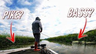 2 HOURS of FROGS, Flipping & Topwater! (Mississippi River Bass Fishing La Crosse)