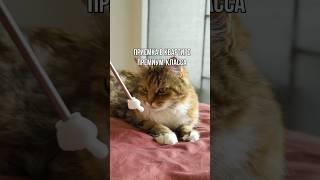 УКАЗЫВАЮ НА ДЕФЕКТЫ