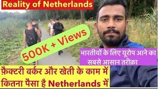 Income in Netherlands-दिहाड़ी मज़दूरी & खेती करने में कितना पैसा है यहाँ-How much you can earn here