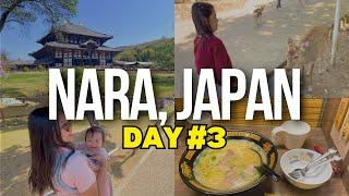 DAY 3 - TODAIJI TEMPLE IN NARA, JAPAN + FIRST ICHIRAN RAMEN  (Osaka, Japan Travel Vlog)