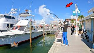 Tossing Baits Under Giant Charter Boats! *Catch, Clean, & Cook*